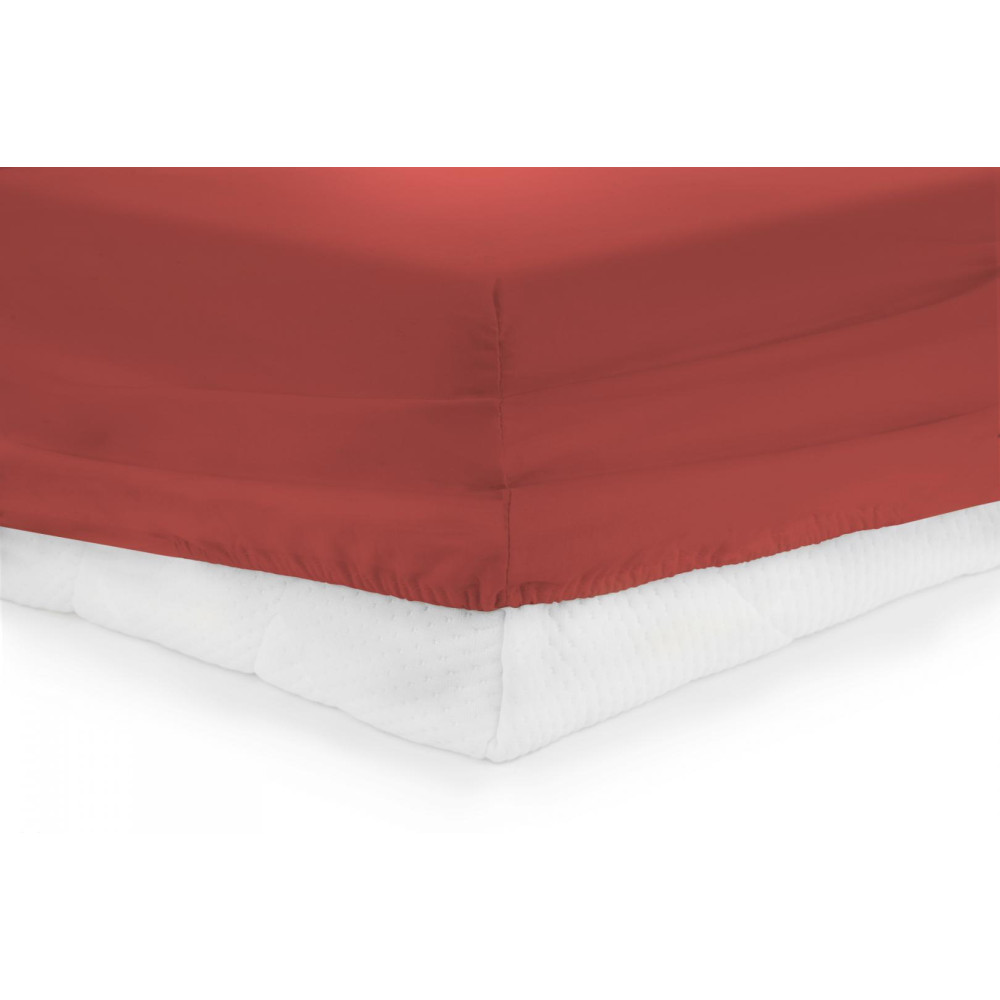 CEARCEAF PAT CU ELASTIC 160X200 CM - RED