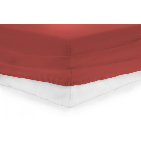 CEARCEAF PAT CU ELASTIC 160X200 CM - RED